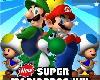 New Super Mario Bross Wii2 The Next Levels[特別重製版](1P)