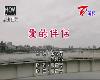 (台語KTV)<strong><font color="#D94836">翁立友</font></strong>+向蕙玲-愛的伴侶(MEGA)(3P)